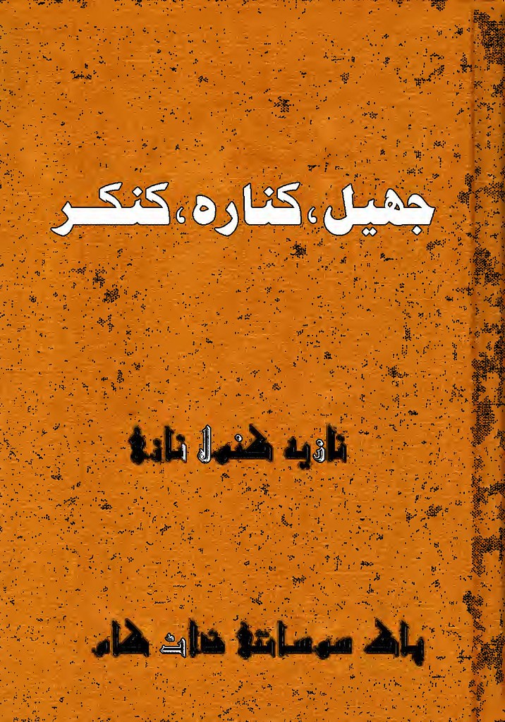 Jheel Kinara Kankar  is a very well written complex script novel which depicts normal emotions and behaviour of human like love hate greed power and fear, writen by Nazia Kanwal Nazi , Nazia Kanwal Nazi is a very famous and popular specialy among female readers