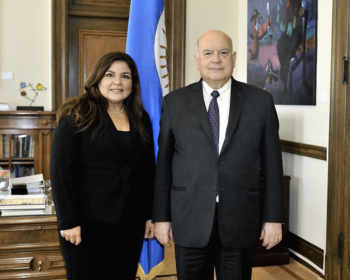 Secretario General de la OEA se reunió con Directora para América Latina del Foro de Davos