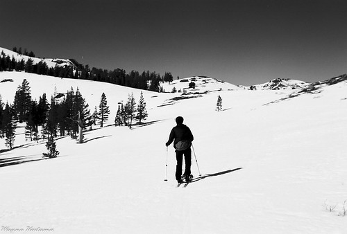 Lone Skier