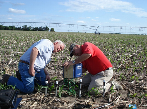 At the University of Nebraska-Lincoln, state energy and extension staff are teaching farmers to use modern sensors to improve irrigation management. In this picture, Darrel Siekman and Gary Zoubek install Watermark Sensors and a data logger. | Photo courtesy of the University of Nebraska.