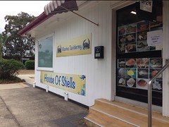 Places: House of Shells & Marine Taxidermy - Cleveland, QLD 4163