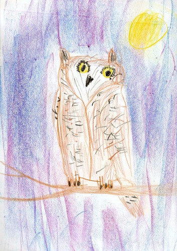 Lucas's Owl at Night (Age 9)