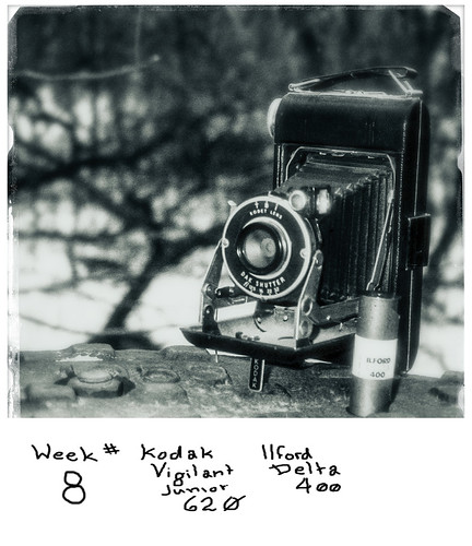 Week #8 - The Kodak Vigilant Junior 620 & Ilford Delta 400