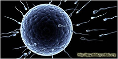 Sifat Pemalas Dapat Menurunkan Jumlah Sperma