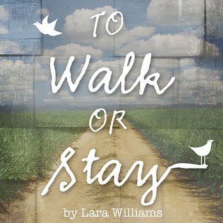 To Walk or Stay button