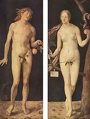 《亞當和夏娃》阿爾布雷希特·杜勒作品(引自維基百科)