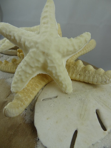 Starfish Soap - The Daily Scrub (4)