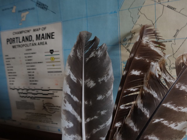 map and feathers
