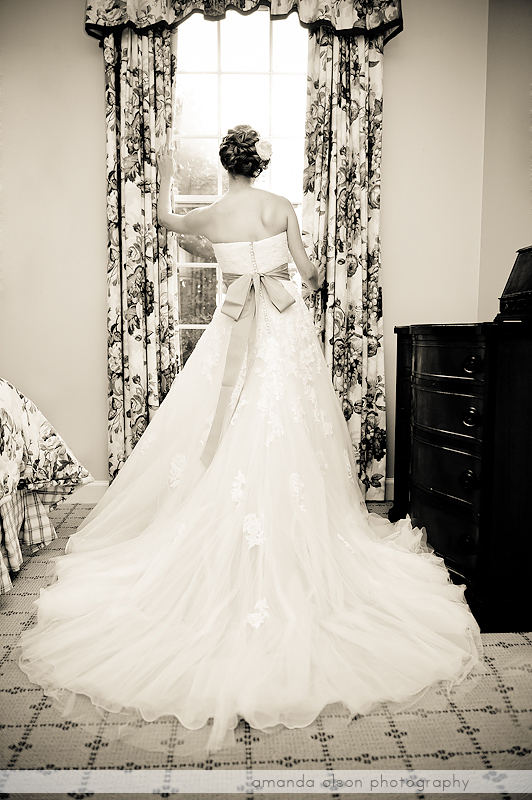 Back Of The Bride's Dress
