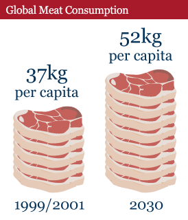 全球對肉的消耗從37公斤成長至52公斤。圖片來源:www.unwater.org