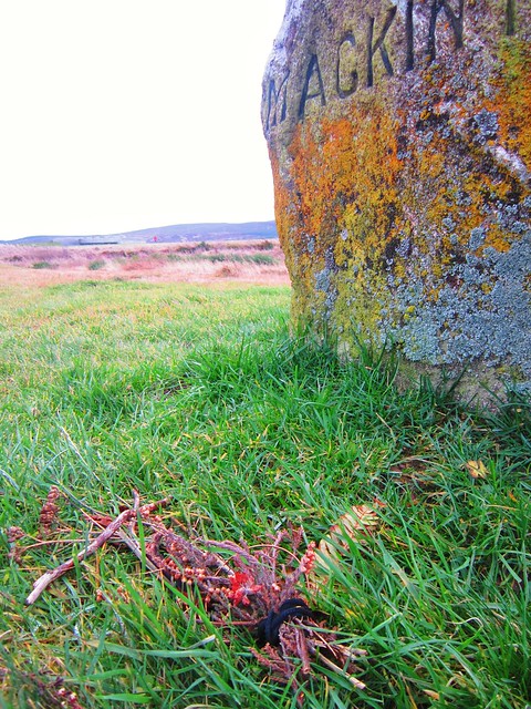 Marker and tribute at Culloden battlefield