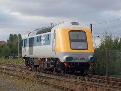Class 41/252