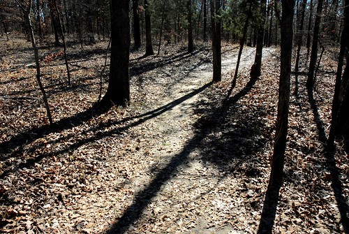 Trail and Shadows
