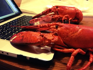 Lobster hackers
