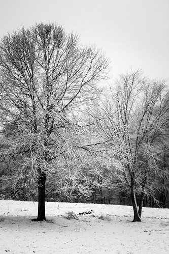 Winter by kenfagerdotcom