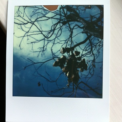 Instant tree branches #impossibleproject