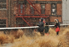 Snow & Rain @ The High Line 2012-03-16