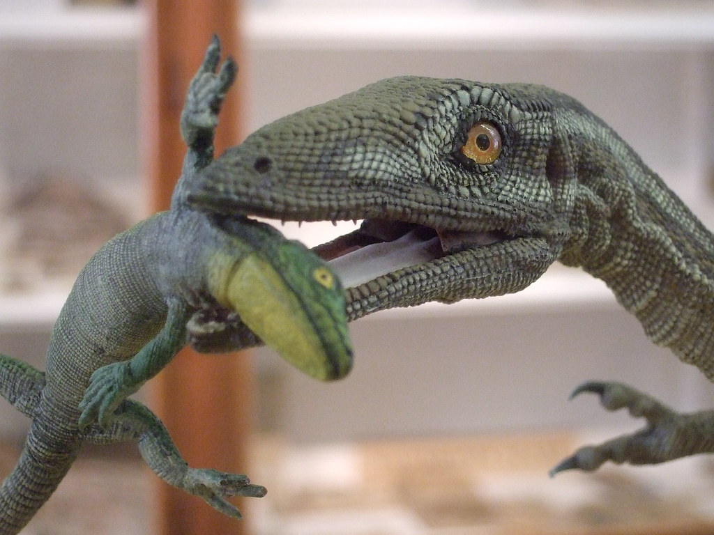 Compsognathus 1