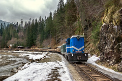 Viseu de Sus Narrow Gauge Logging Railway