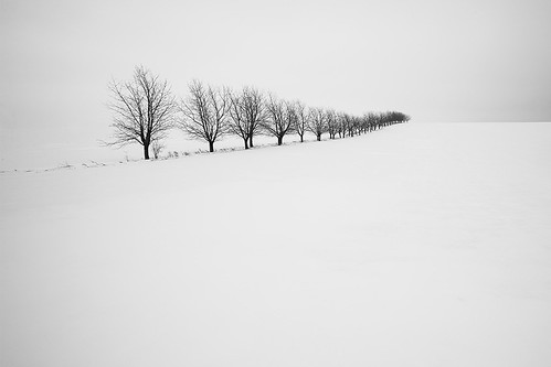 Winterland II by Wael Massalkhi