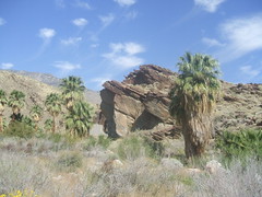 2011-Palm Springs