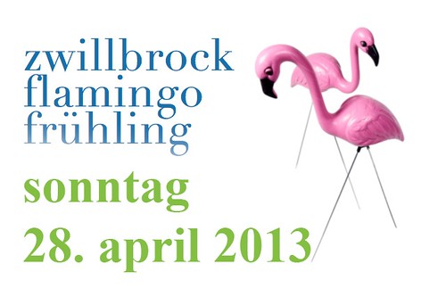 flamingo_fruehling_2013
