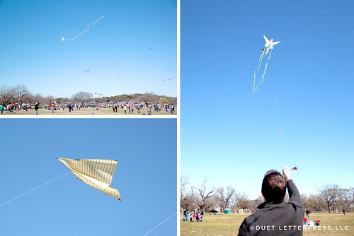 kite fest 2013