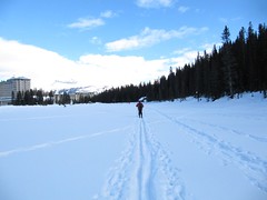 Cross-country skiing on the frozen Lake Louise
