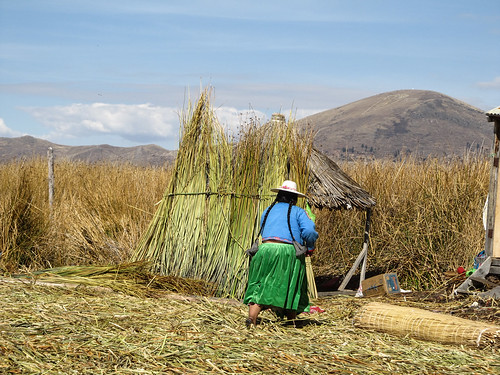 Lac Titicaca: les pompons en alpagas en bout des tresses