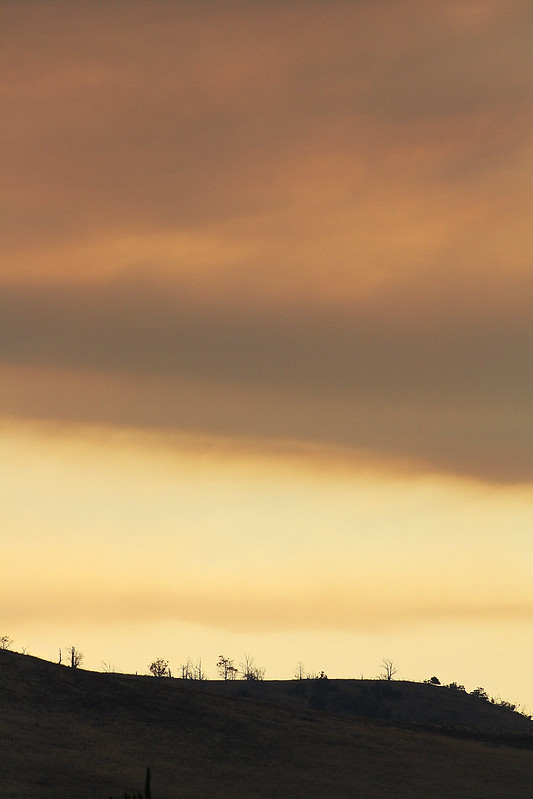 Bushfire Sky 062