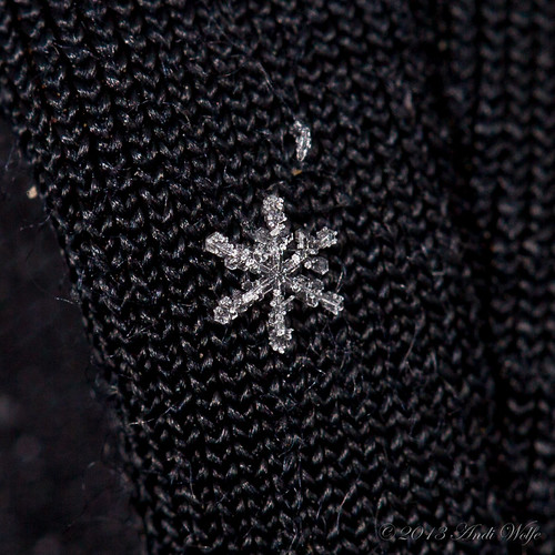 Snowflake by andiwolfe
