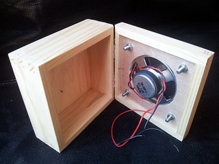 Inside view of speaker attached to box