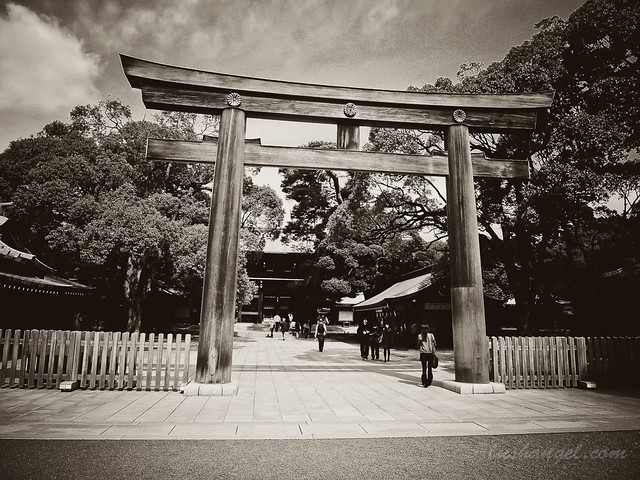 japan-shrine