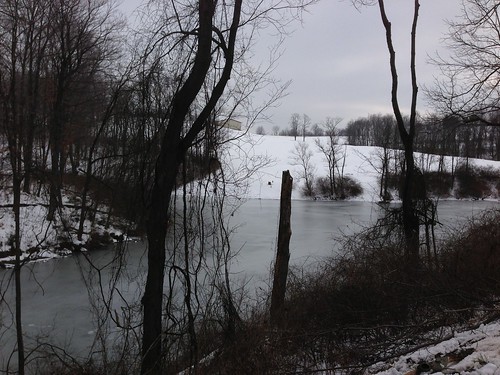 Frozen Pond #photoaday by acmacom