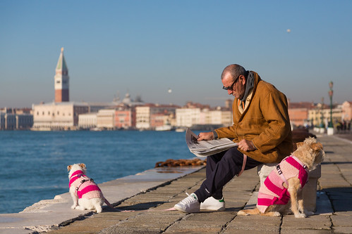 Continental Chic (Man, Newspaper & Dogs), Venice by flatworldsedge