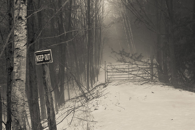 Woods, Rural, Driveway, Gate, Keep Out, Posted, Monochrome, Fog, Foggy