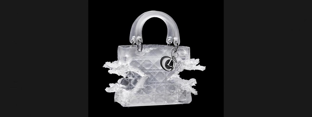 Lady Dior As Seen By Olympia Scarry