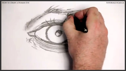 learn how to draw a human eye 012