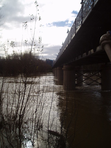 Río Ebro a su paso por Logroño crecida 20 enero 2013