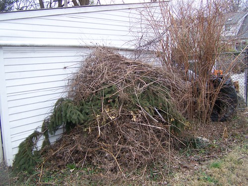 Our loose compost pile for brush and branches
