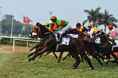 Horses, Hats & Entertainment - RWITC - Indian Derby 2013