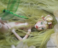 Lightpainted Doll ELF