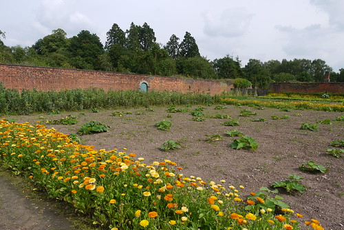 The Walled Garden