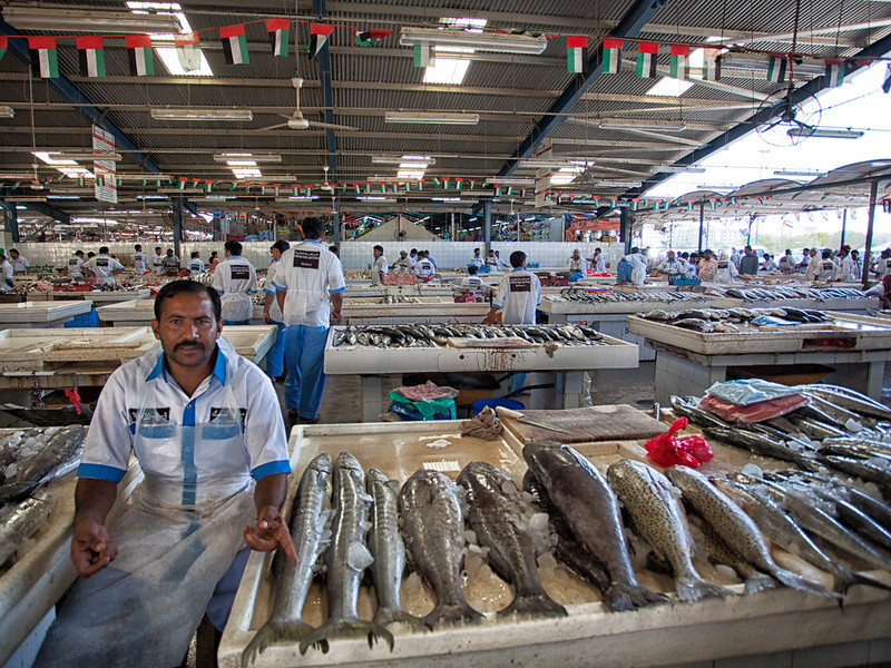 Dubai Fish Market #04