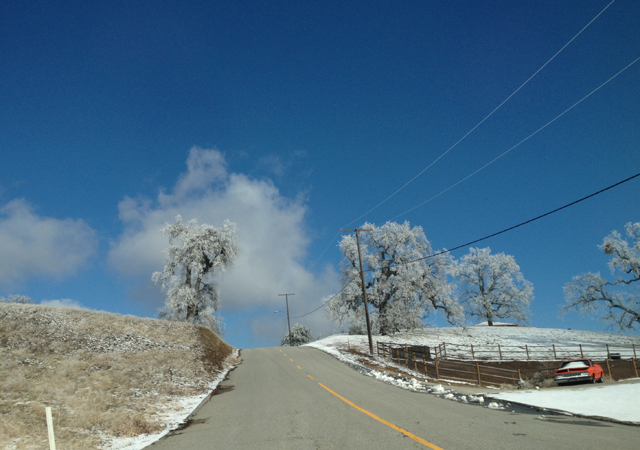 tehachapi-snow-trees-winter