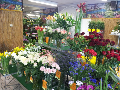 Holland Blumenmarkt