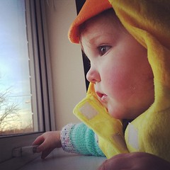 Sad toddler looks sad even in a duck costume