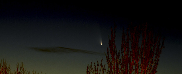 Cometa 2011 L4 (PANSTARRS)