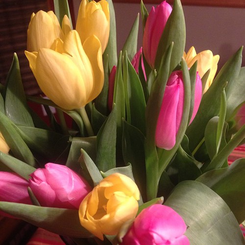 I adore tulips all year round! #adore #sk14day