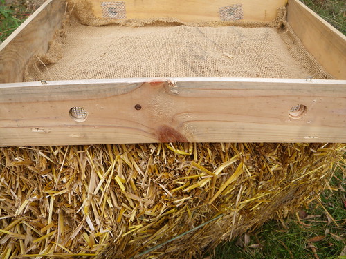 beehive humidity box